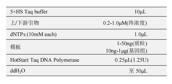HotStart Taq DNA Polymerase(B)(with dNTP) 常用反应体系（50μL）