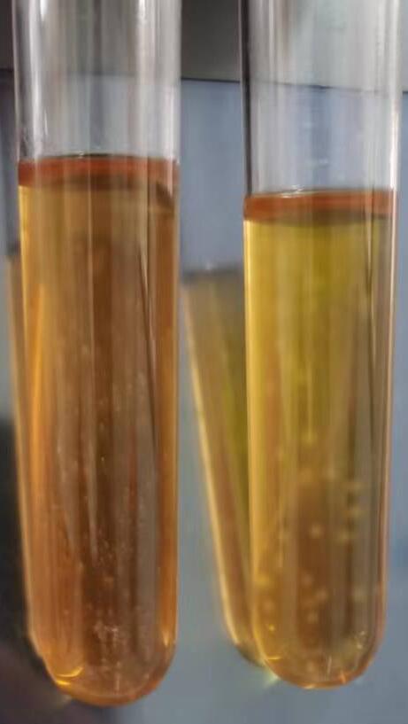 精氨酸支原体半流体培养基（管型） 8mL×20管