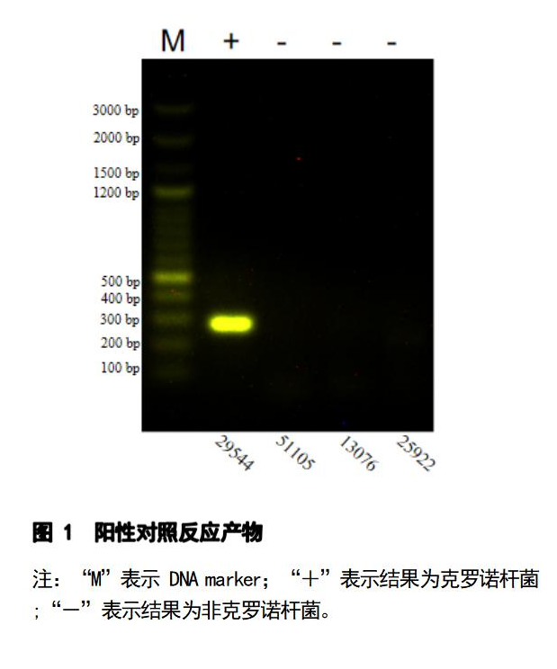 克罗诺杆菌 PCR 检测试剂盒结果判读