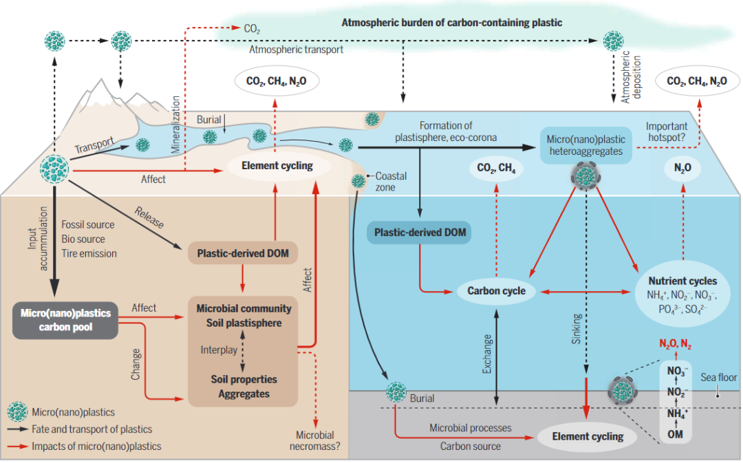 微(纳米)塑料影响元素生物地球化学循环