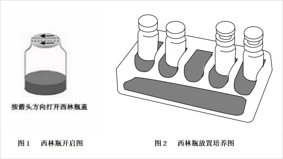 西林瓶使用教程