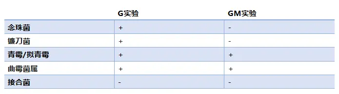 G实验和GM实验