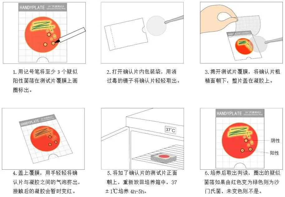 Handy plate® 沙门氏确认反应片操作图解