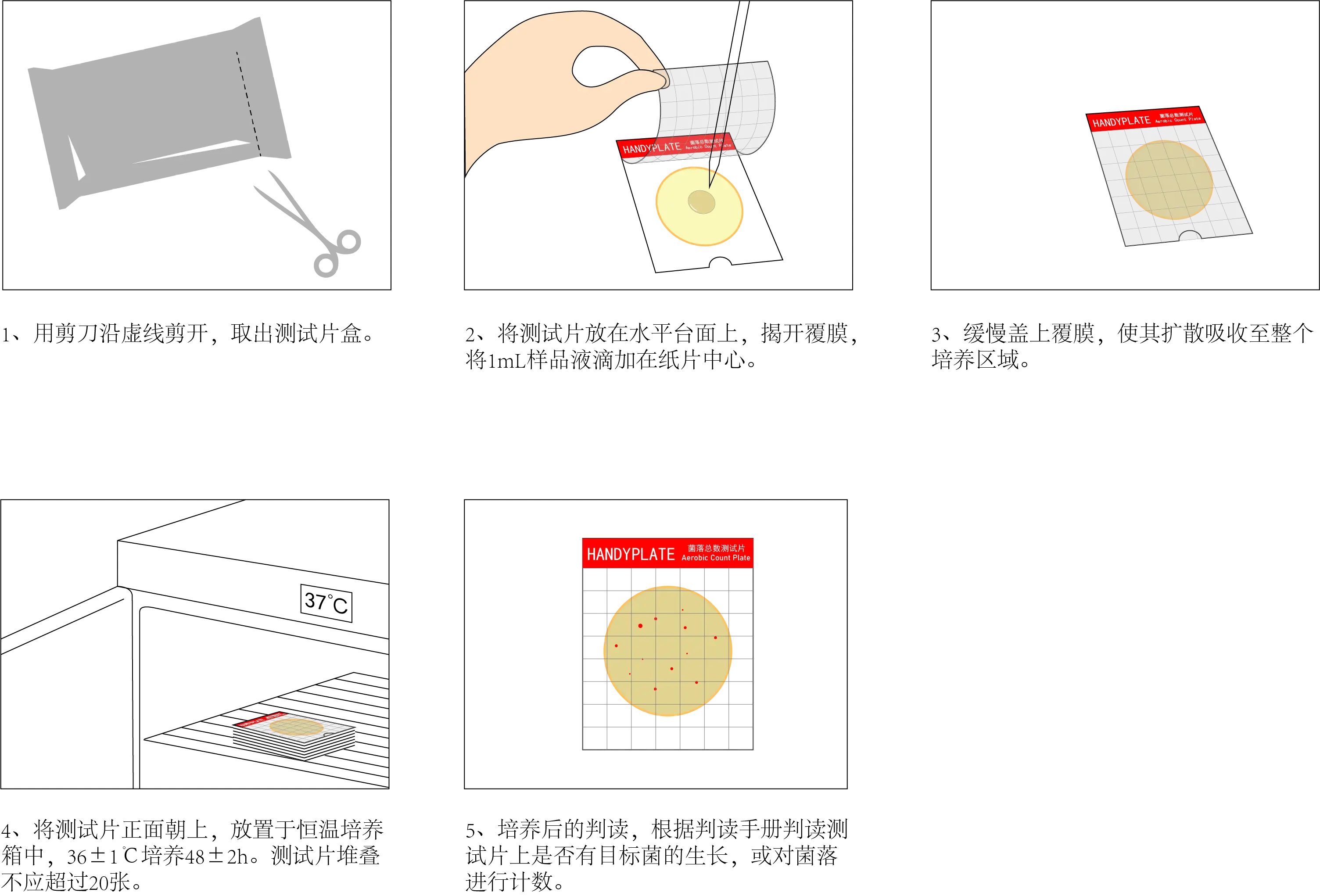 菌落总数测试片使用操作步骤