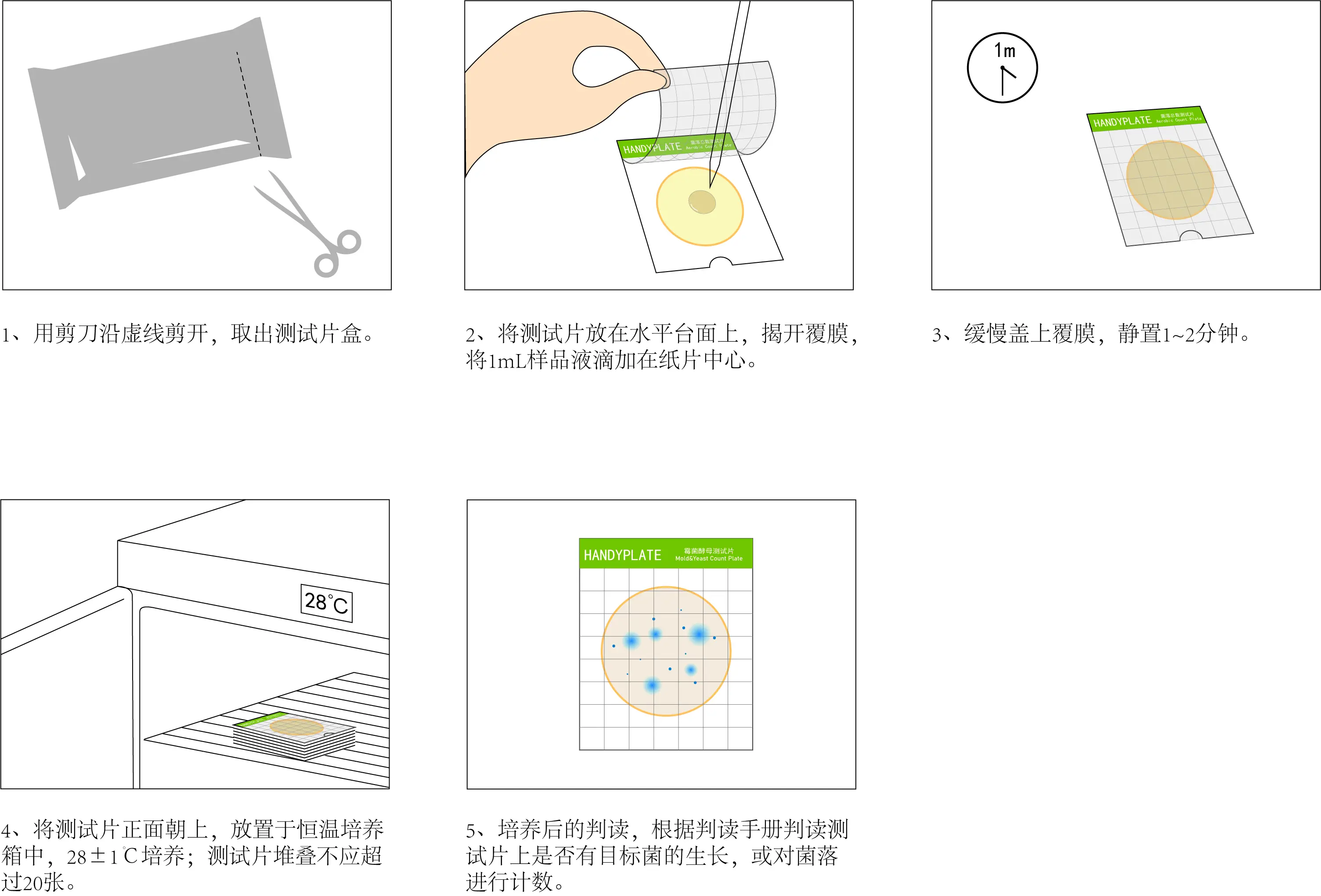 HandyPate®霉菌酵母测试片使用操作教程