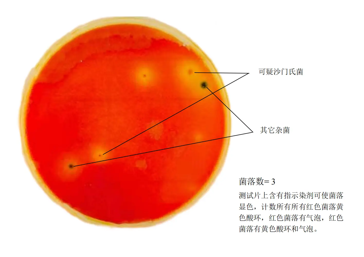 沙门氏菌测试片判读手册