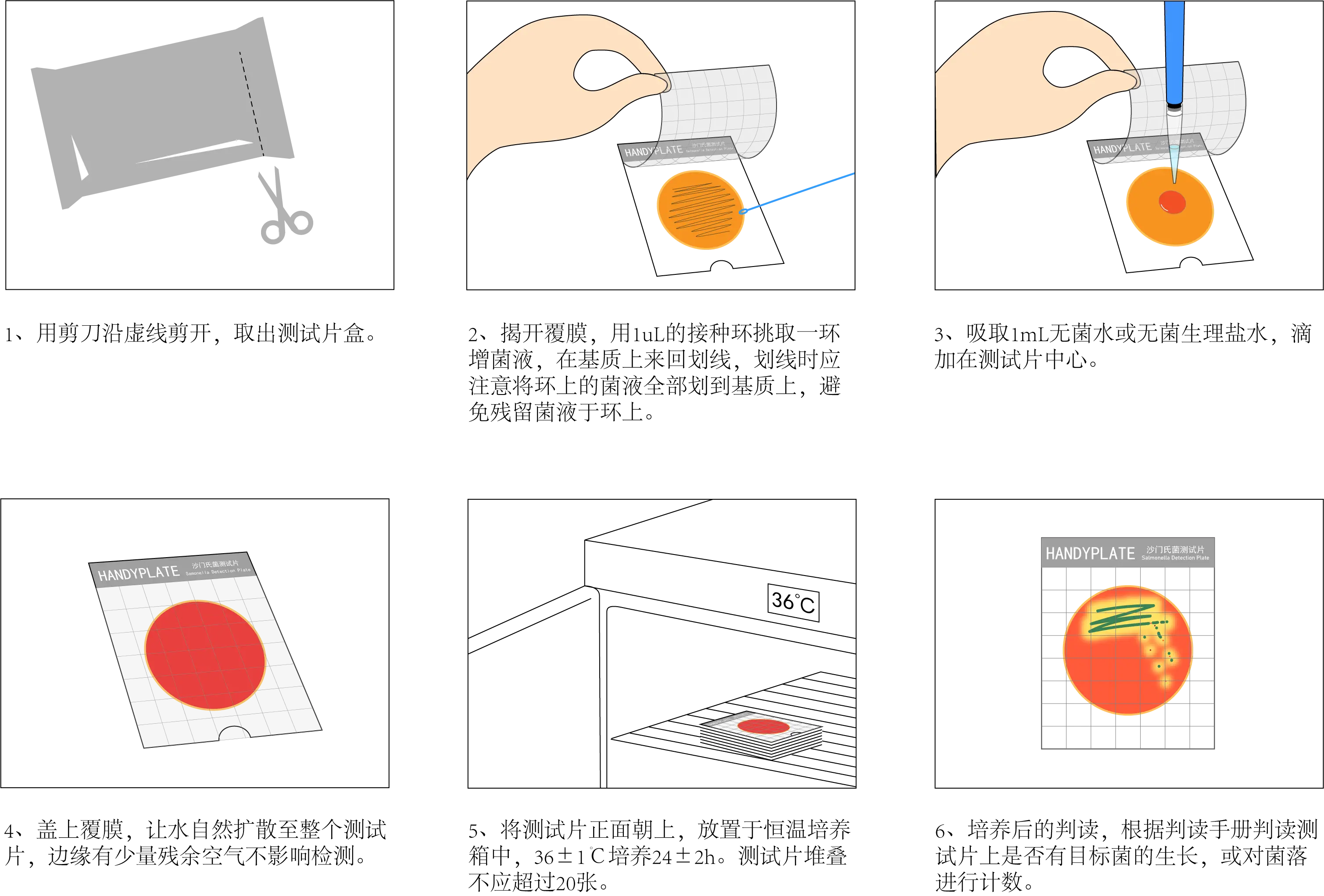 Handy plate®沙门氏菌测试片 操作图解