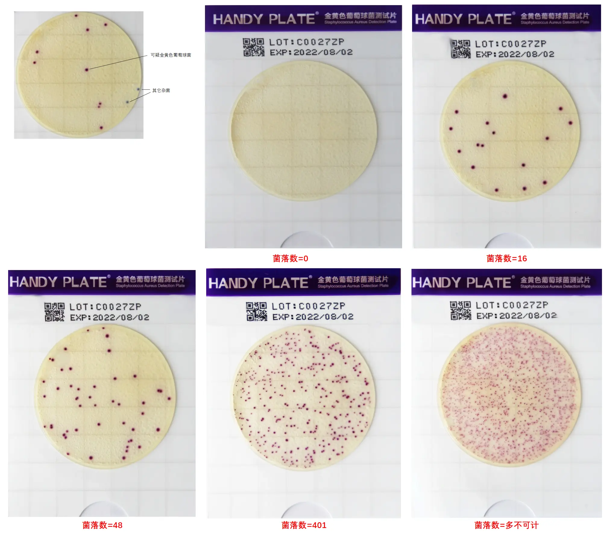 HandyPlate®金黄色葡萄球菌测试片判读手册