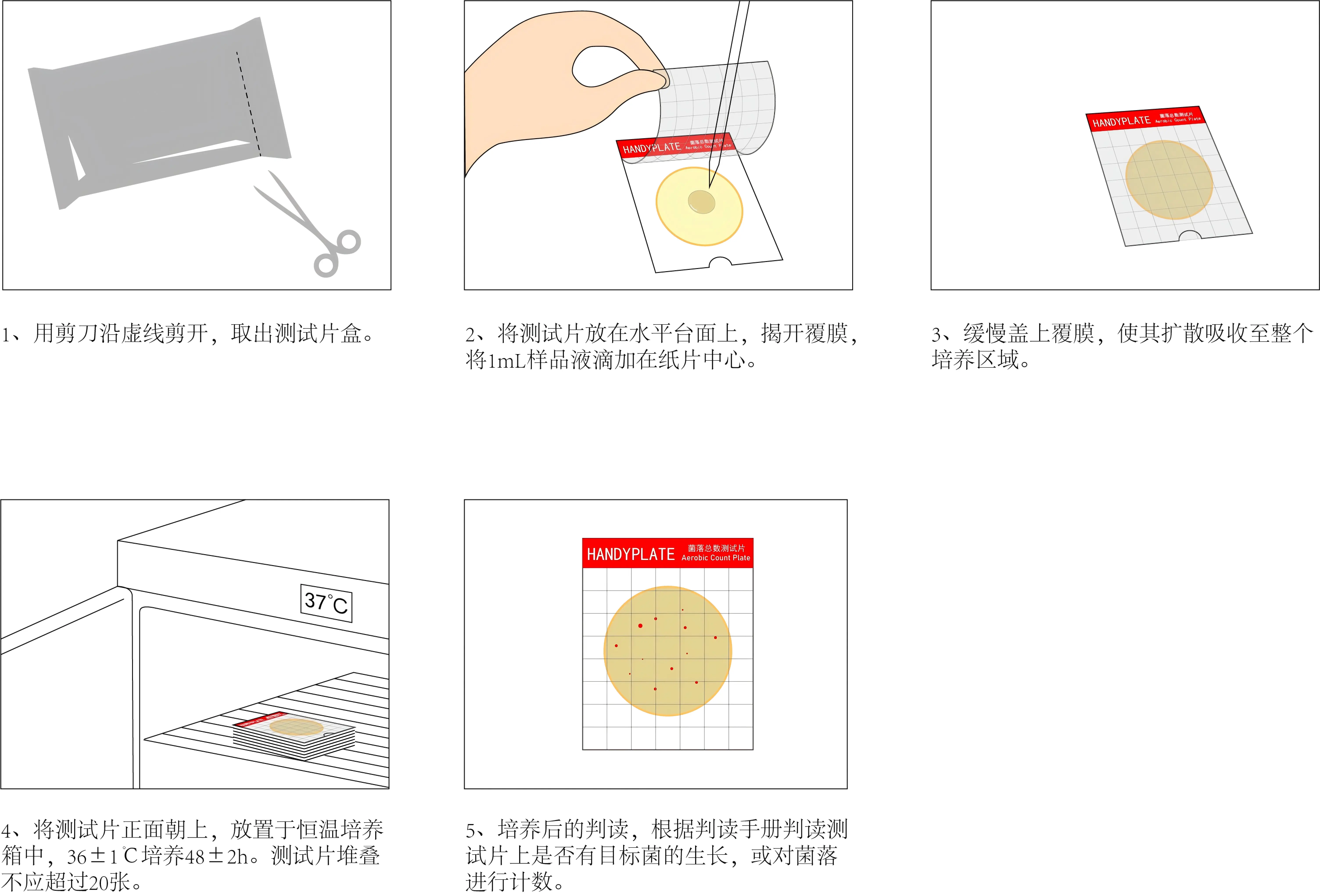 菌落总数测试片使用操作步骤