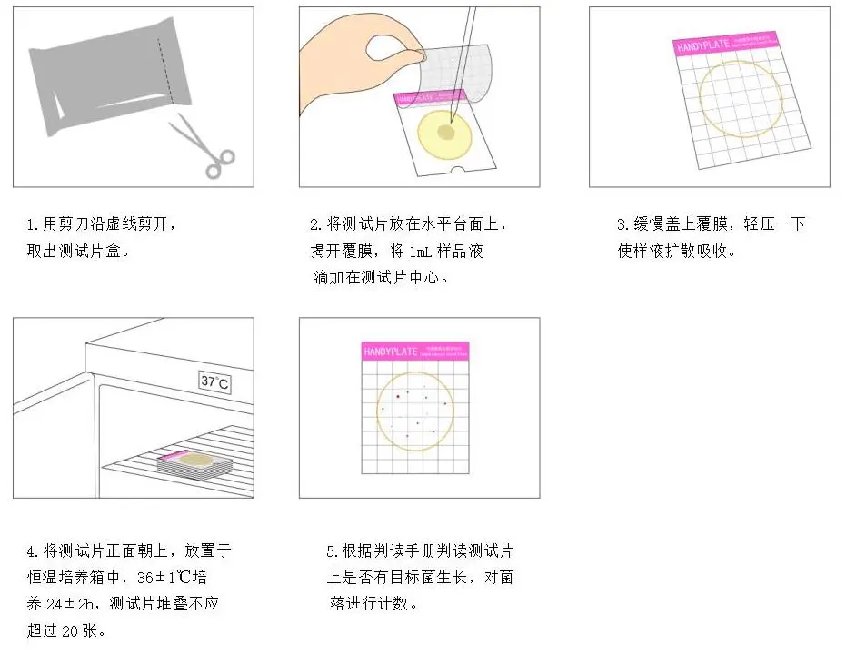 Handy plate®快速菌落总数测试片 操作图解