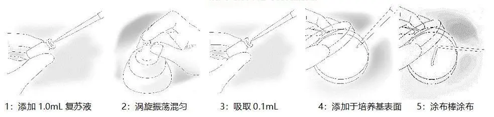 冻干菌种复苏示意图