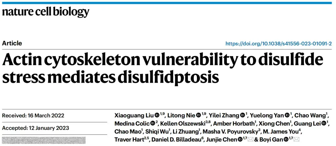 细胞死亡类型——双硫死亡（Disulfidptosis）