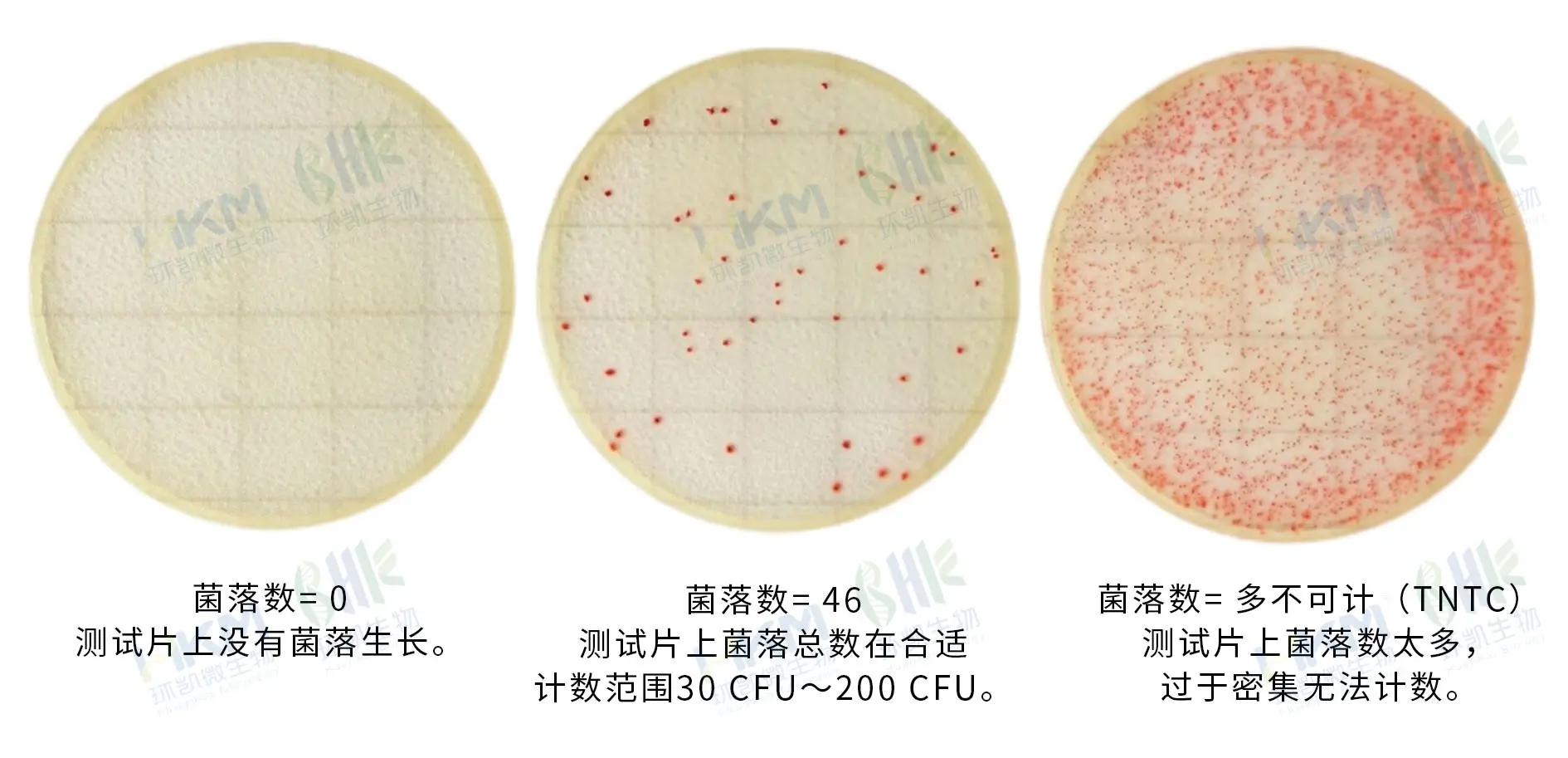环凯 Handy plate®菌落总数测试片判读手册 环凯 Handy plate®菌落总数测试片判读手册