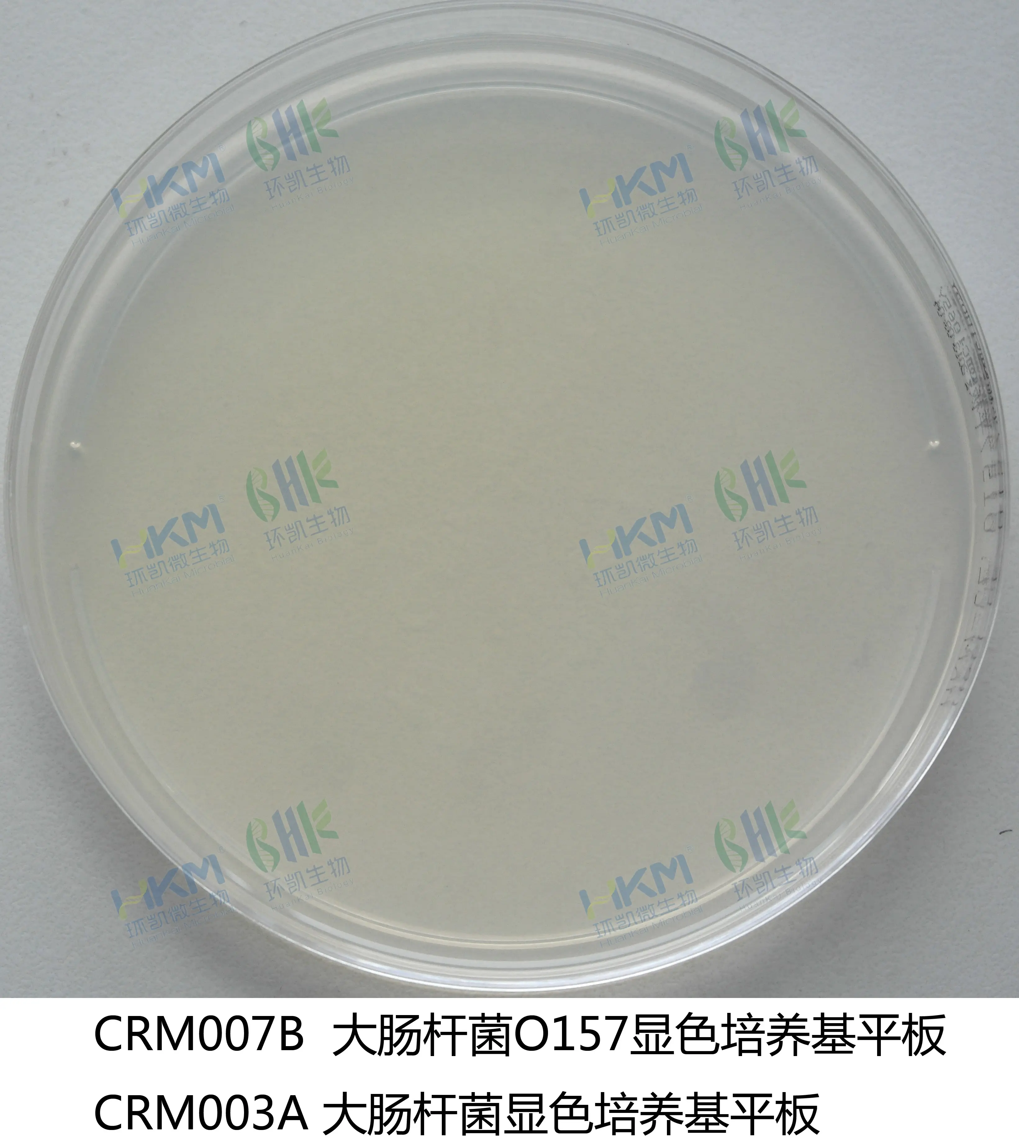 大肠菌群大肠杆菌(ECC)显色平板培养基