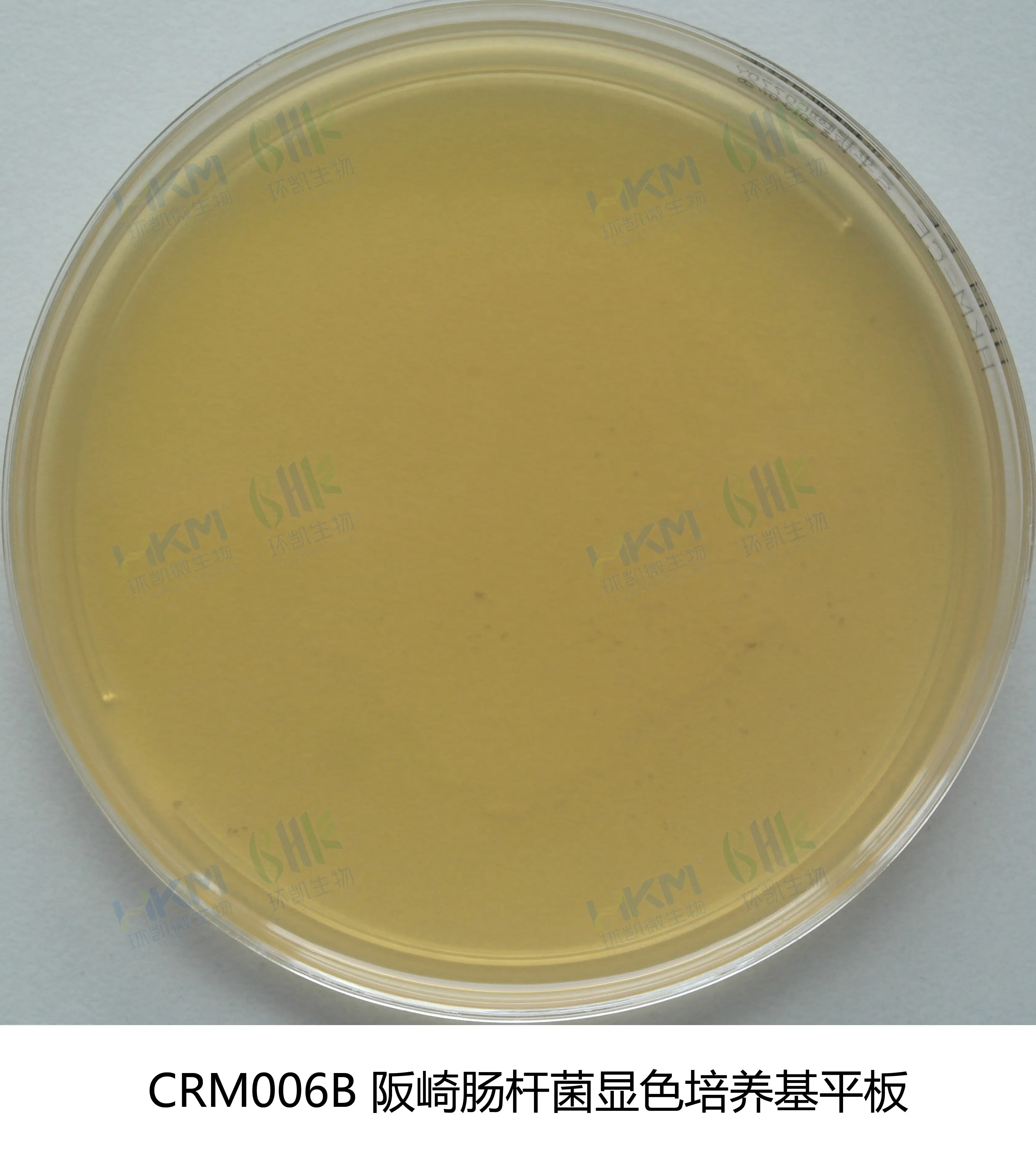 克罗诺杆菌(阪崎肠杆菌)显色平板培养基
