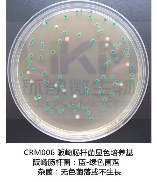 阪崎克罗诺杆菌显色培养基(DFI琼脂)菌落特征