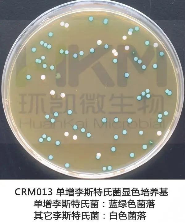 单增李斯特氏菌显色培养基