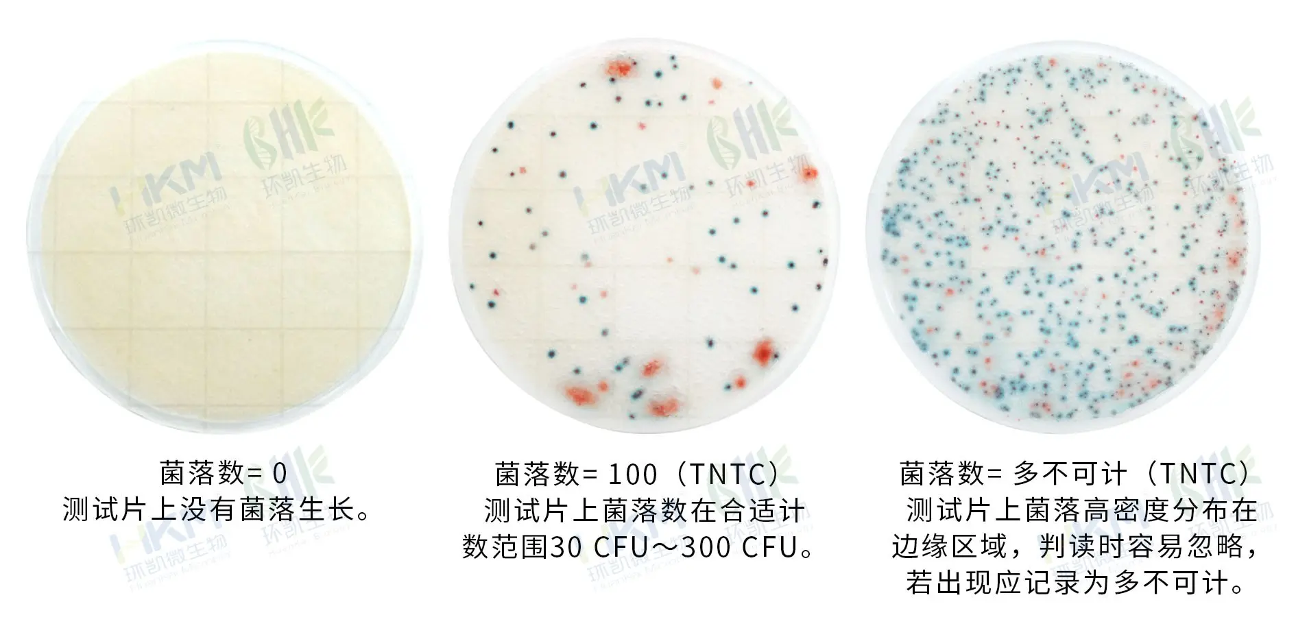 HandyPlate®快速菌落总数测试片