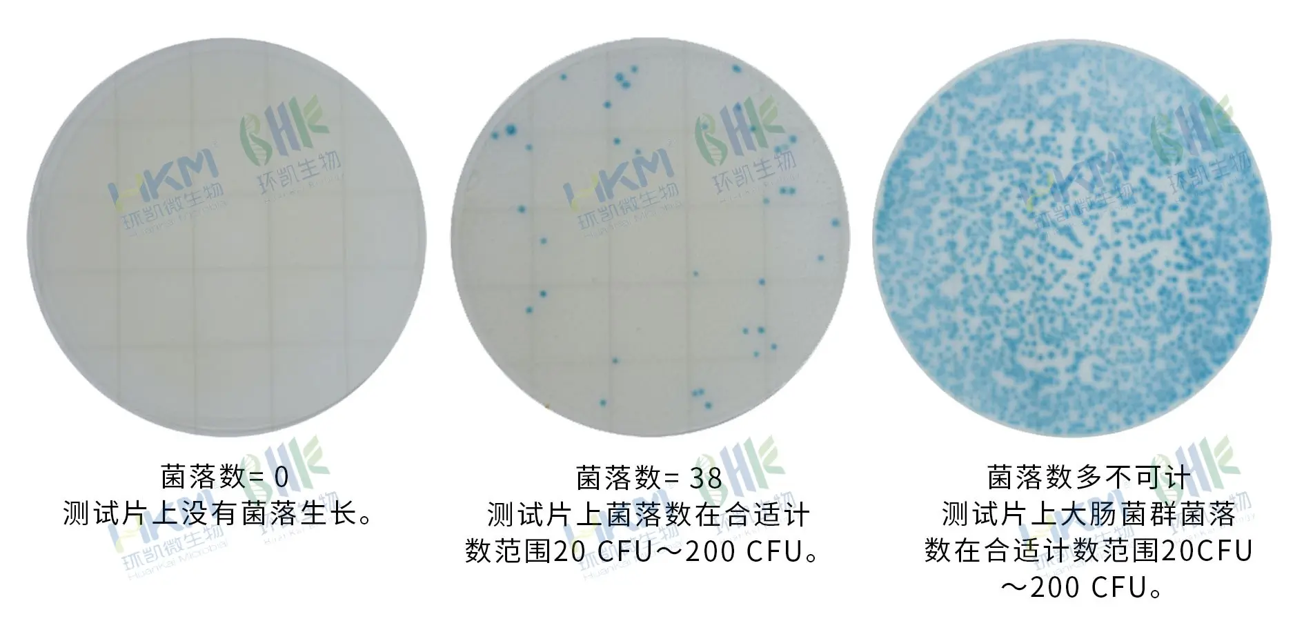 HandyPlate®环境李斯特氏菌测试片