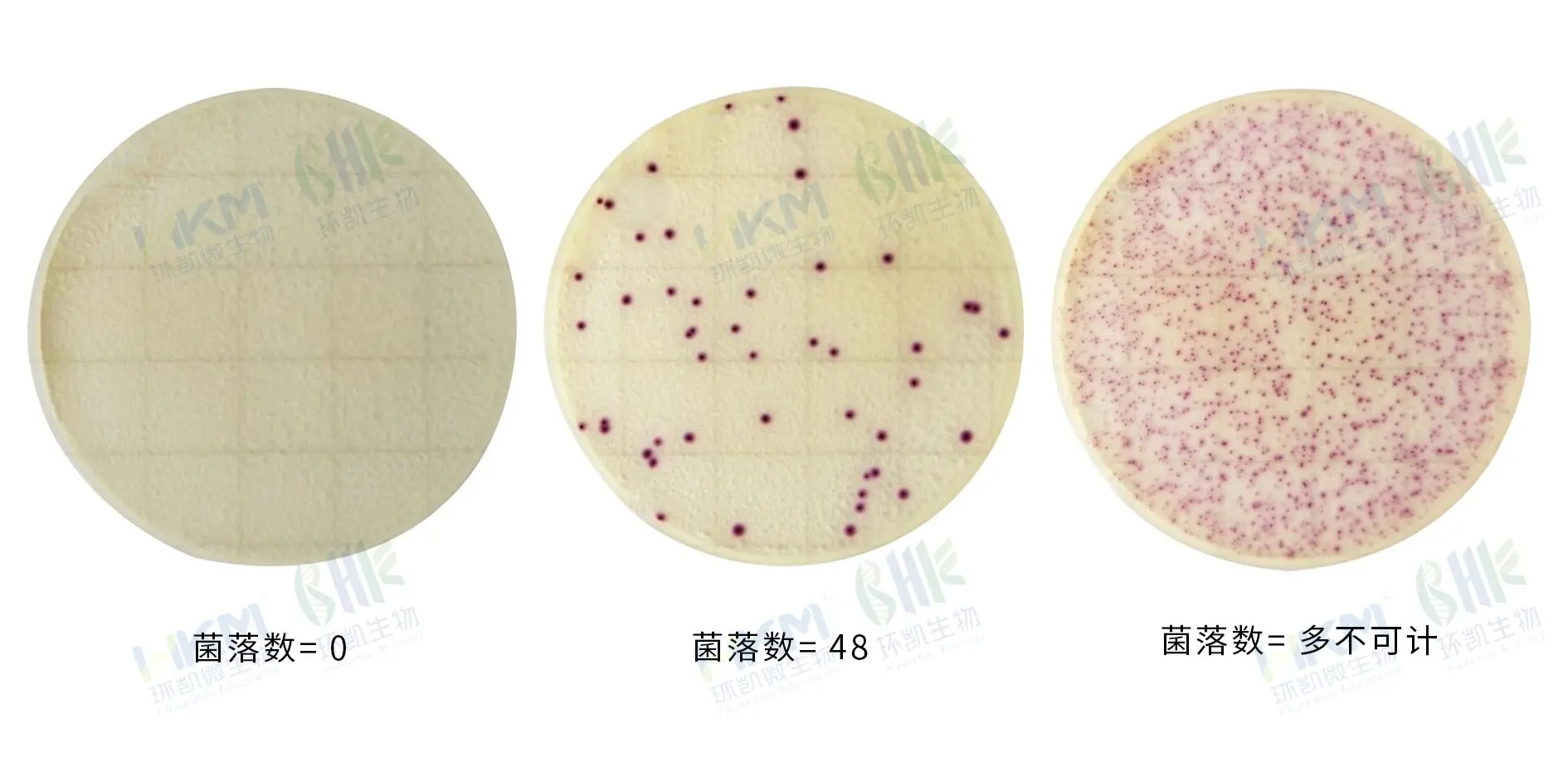 HandyPlate®金黄色葡萄球菌测试片
