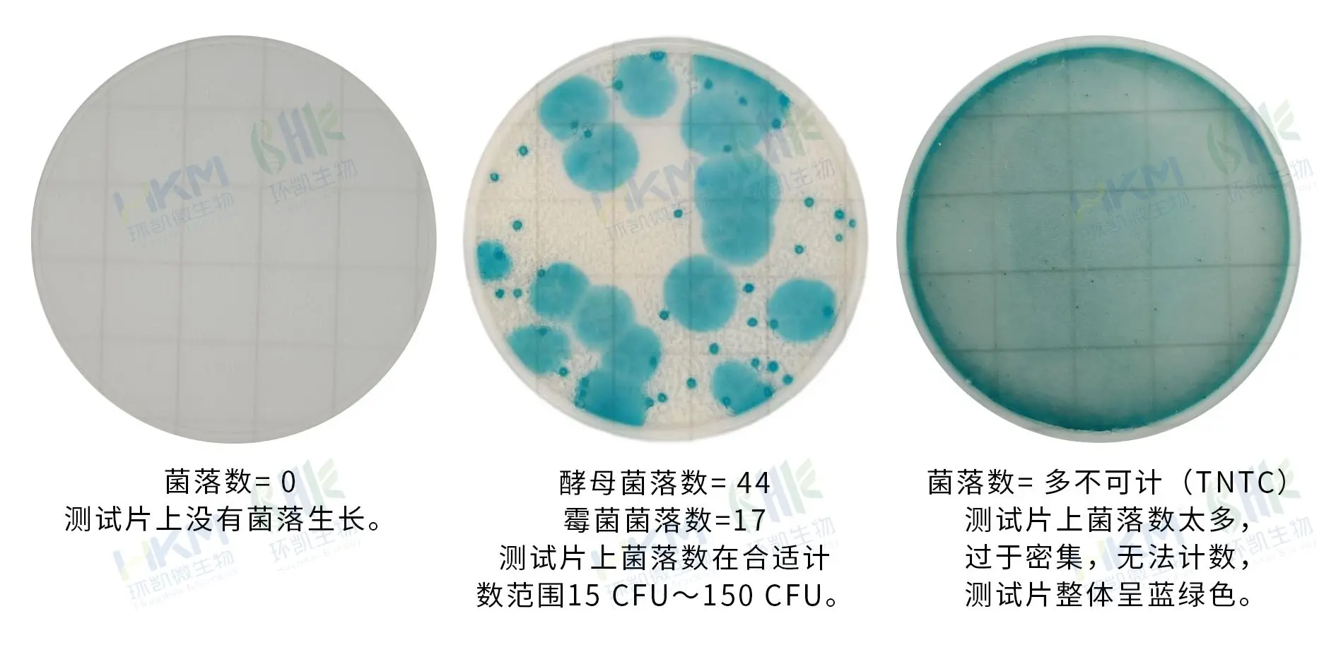 HandyPlate®快速霉菌酵母测试片判读手册