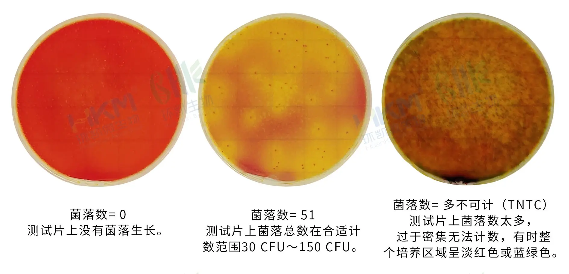 HandyPlate®沙门氏菌测试片