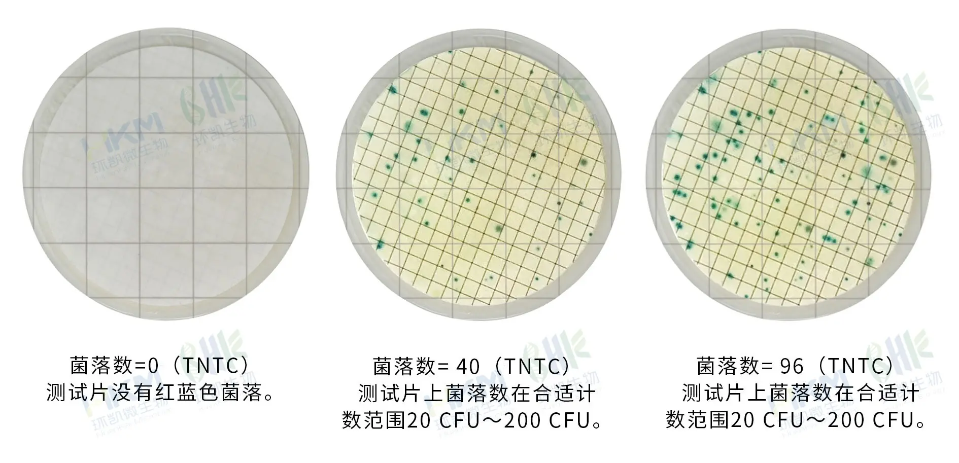HandyPlate®快速菌落总数测试片(滤膜法)