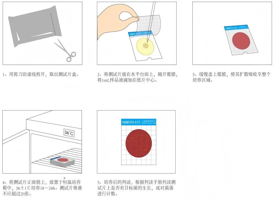 大肠菌群测试片使用操作步骤