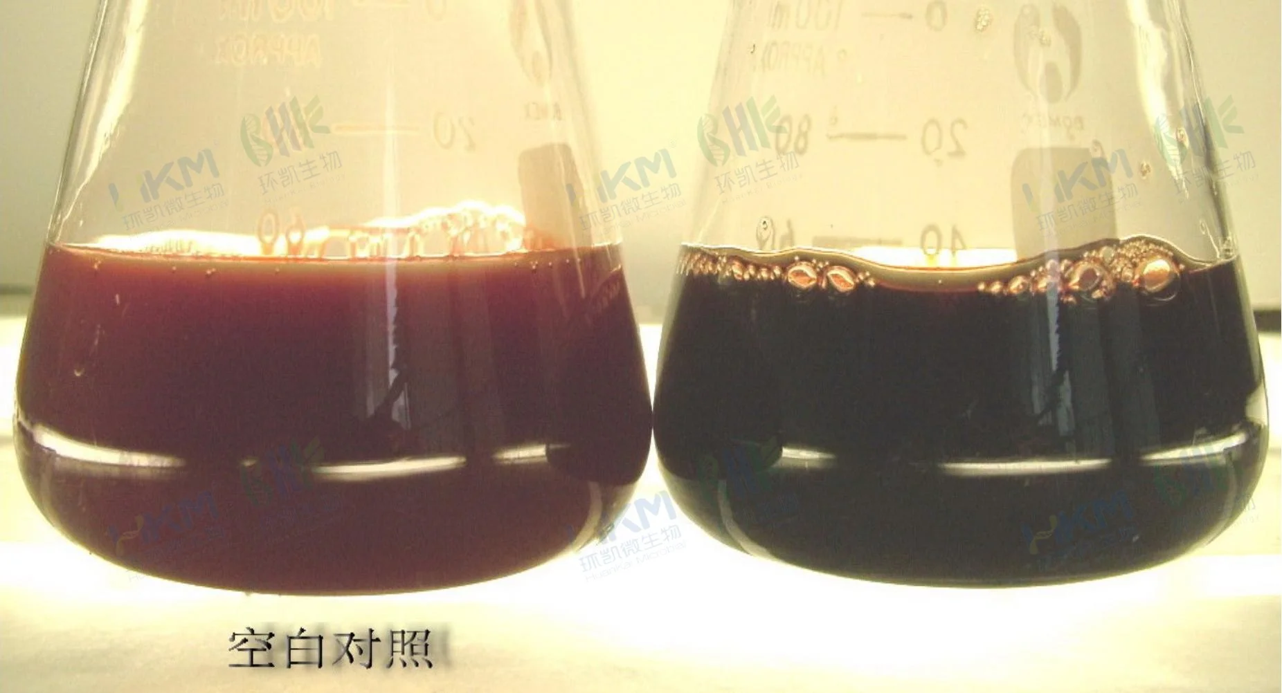 匹克氏肉汤培养基质量控制