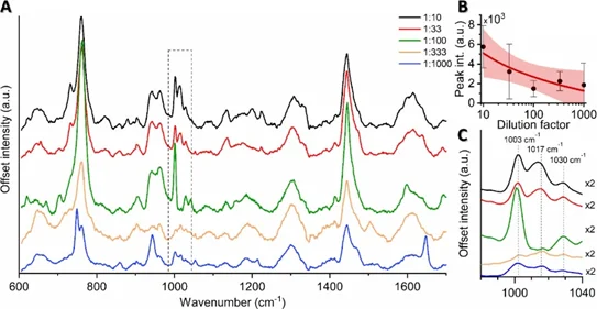 孢子上清液稀释系列(1:10至1:1000)的SERS光谱,原始孢子原液浓度为10^9孢子/毫升 孢子上清液稀释系列(1:10至1:1000)的SERS光谱,原始孢子原液浓度为10^9孢子/毫升