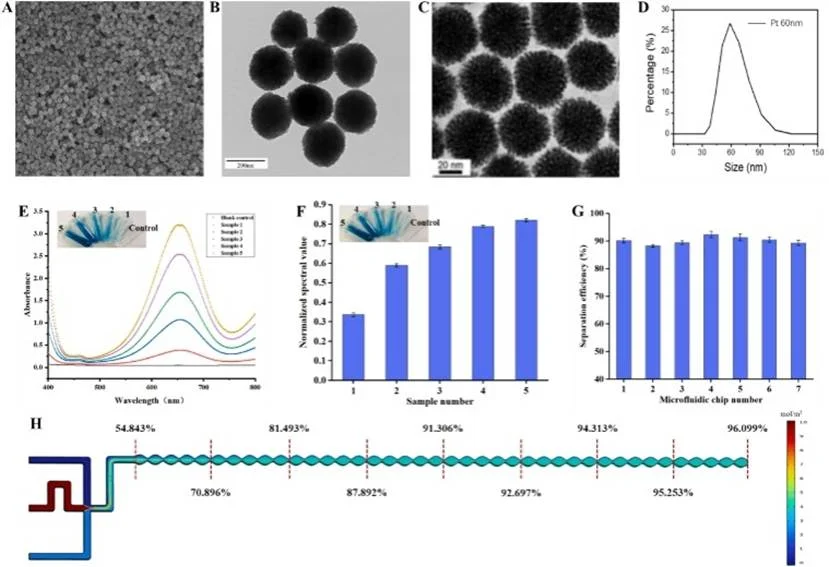 比色生物传感方法的验证 比色生物传感方法的验证