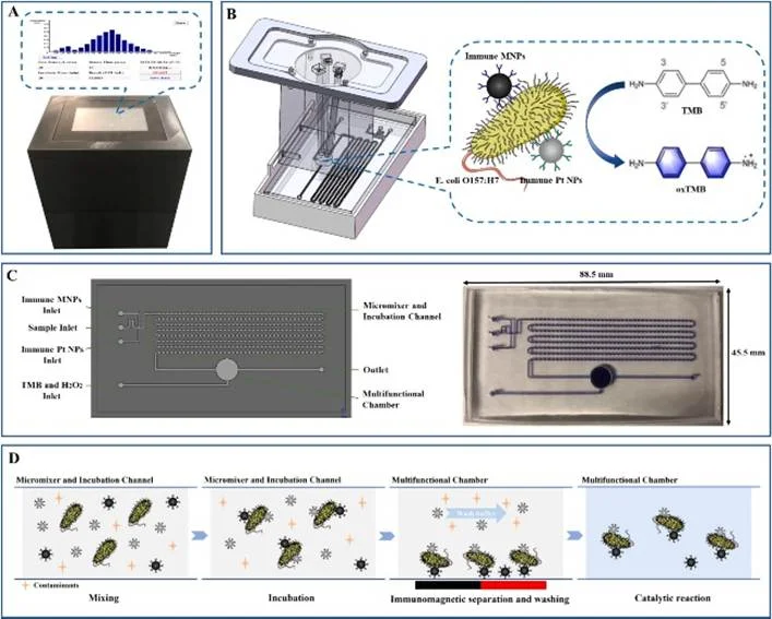 (A)自动检测装置的实际图片;(B)比色分析模块的结构和原理;(C)微流控芯片的模具及实物图。(D)微流控芯片检测原理及工作流程示意图 (A)自动检测装置的实际图片;(B)比色分析模块的结构和原理;(C)微流控芯片的模具及实物图。(D)微流控芯片检测原理及工作流程示意图