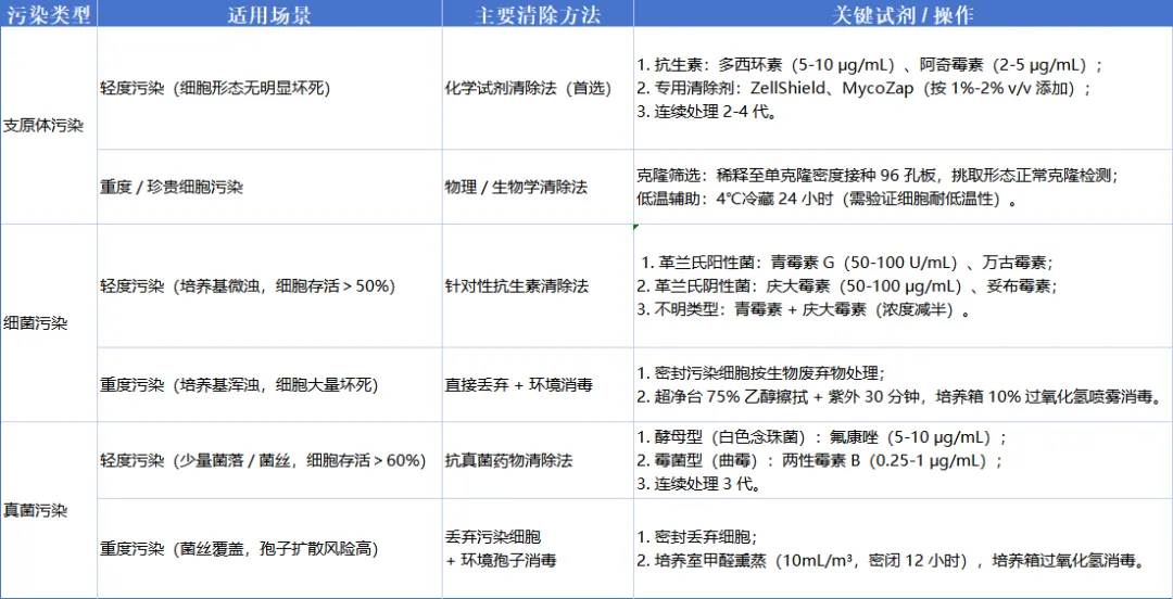 细胞污染清除方法 细胞污染清除方法