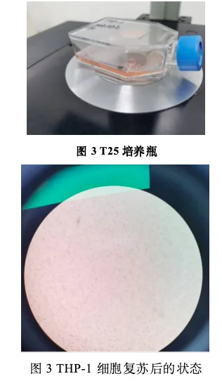 THP-1细胞复苏