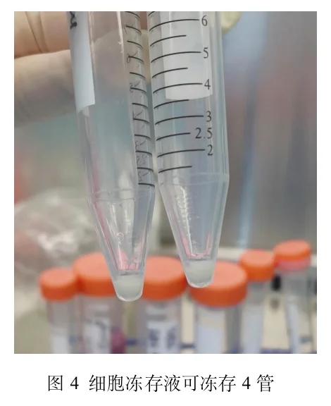 细胞冻存液可冻存4管