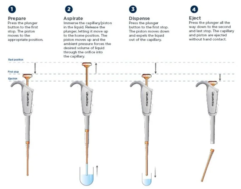 正向置换式的移液器特别适合转移有挥发性、黏性很高的液体 正向置换式的移液器特别适合转移有挥发性、黏性很高的液体