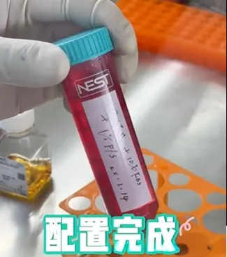 混合、分装与储存