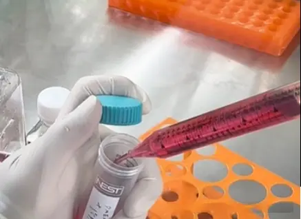 从一瓶全新的DMEM基础培养基中，用无菌移液管吸出44.5mL，加到离心管中