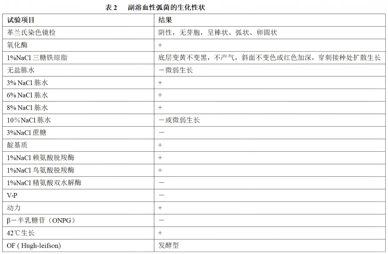 副溶血性弧菌的生化性状 副溶血性弧菌的生化性状