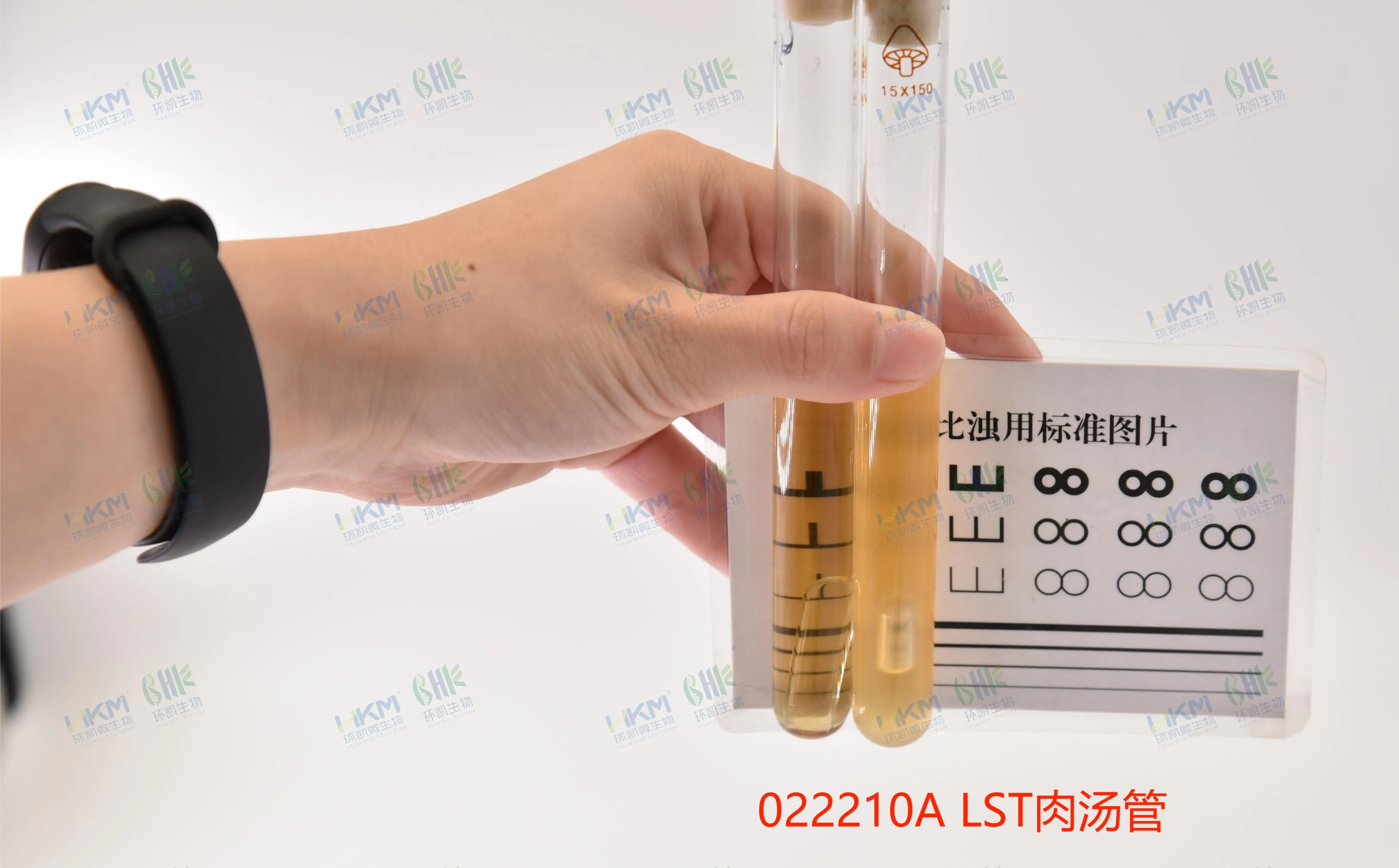 月桂基硫酸盐胰蛋白胨肉汤(LST)培养基质量控制 月桂基硫酸盐胰蛋白胨肉汤(LST)培养基质量控制