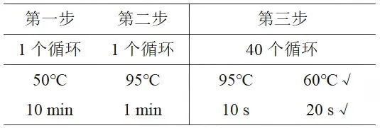 诺如病毒GI/GII核酸检测试剂盒(RT-PCR探针法,含MS2)PCR扩增步骤 诺如病毒GI/GII核酸检测试剂盒(RT-PCR探针法,含MS2)PCR扩增步骤