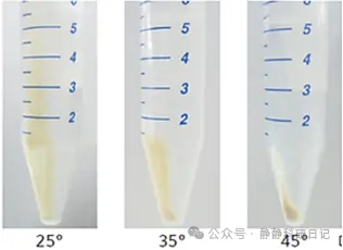 样品分离效果
