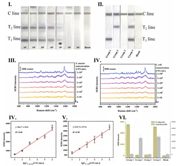 Fig.4 基于Ag@pore-Au Raman-dye MPs探针的侧流免疫层析试纸条的检测灵敏度测试 Fig.4 基于Ag@pore-Au Raman-dye MPs探针的侧流免疫层析试纸条的检测灵敏度测试