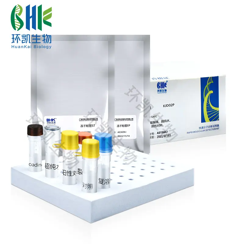 EPEC-STEC-EHEC多重PCR检测试剂盒 - 产品主图4