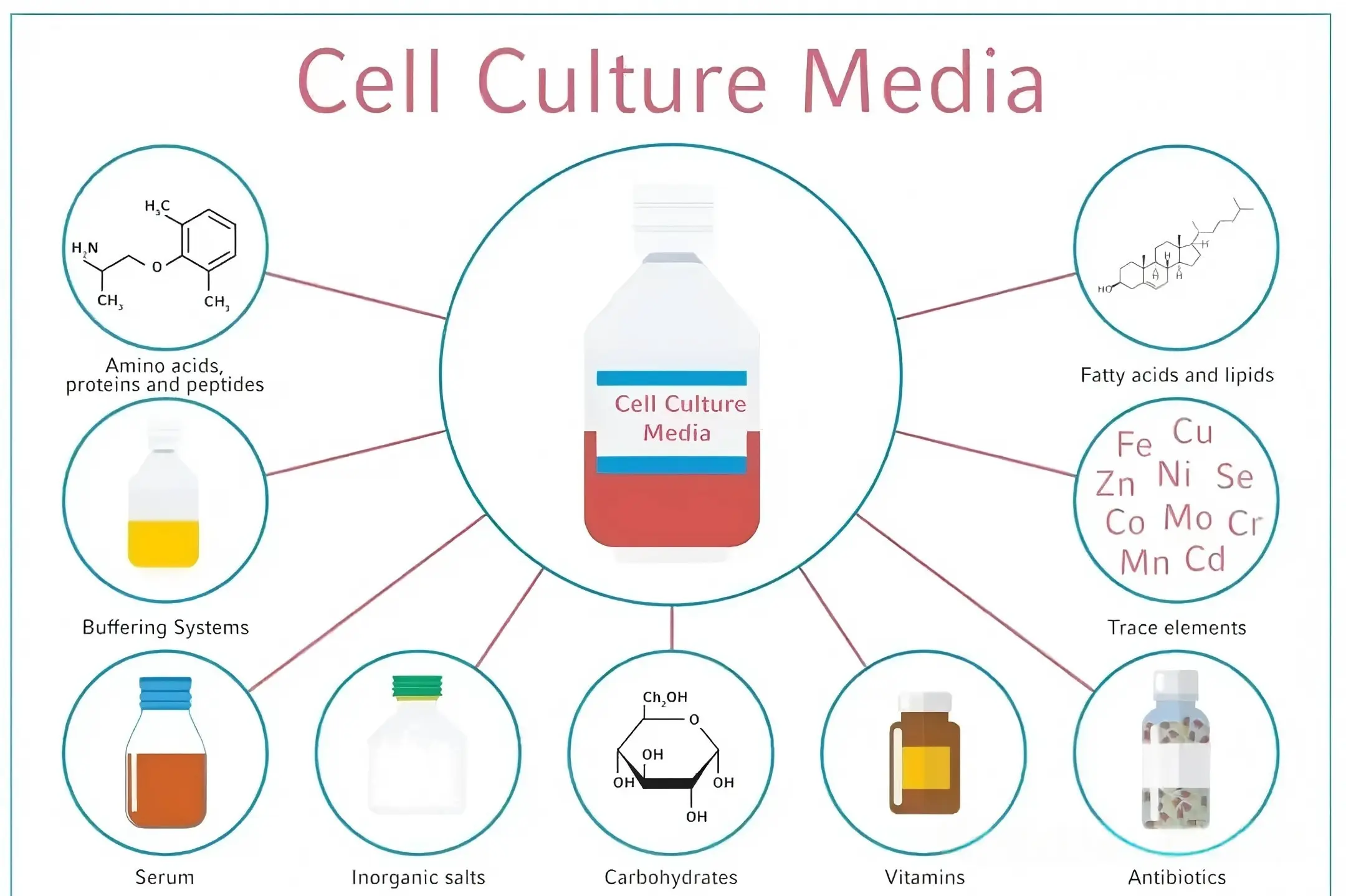 Cell Culture Media