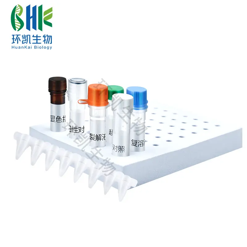 副溶血弧菌核酸快速检测试剂盒(恒温荧光法) - 产品主图5