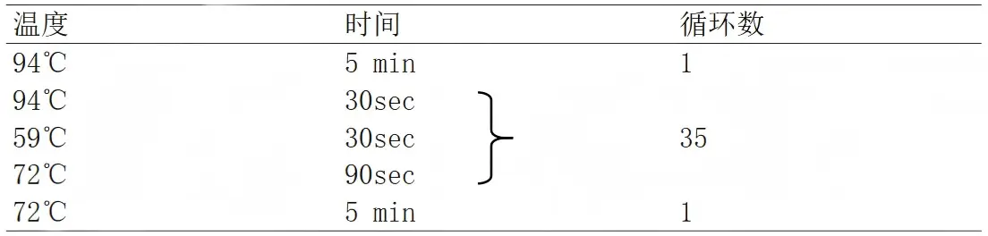 EAEC多重PCR检测试剂盒PCR 反应程序 EAEC多重PCR检测试剂盒PCR 反应程序