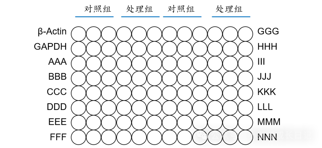 qPCR实验图 qPCR实验图