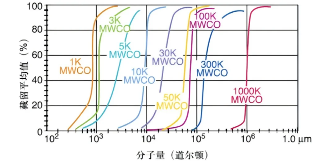 分子量(道尔顿) 分子量(道尔顿)