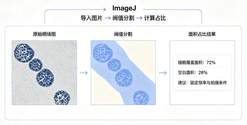 ImageJ软件图像定量分析（精确定量）